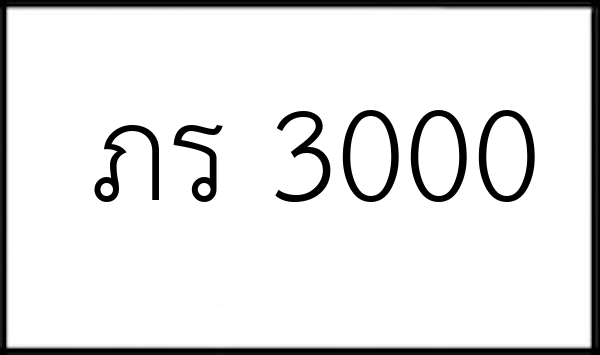 ภร 3000